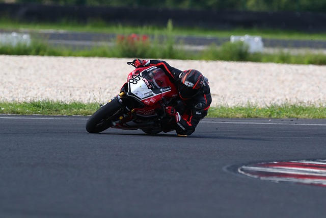 的完美詮釋 的完美詮釋