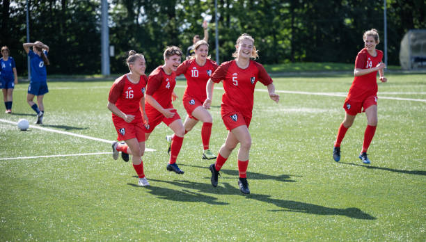 據為參考 據為參考